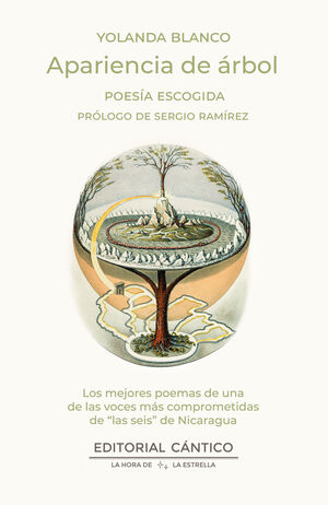 APARIENCIA DE ARBOL