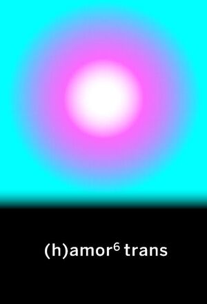 (H)AMOR 6