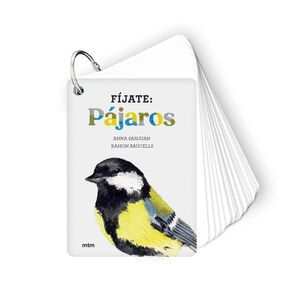 FIJATE PAJAROS
