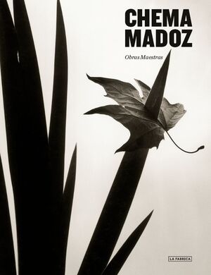 CHEMA MADOZ. OBRAS MAESTRAS