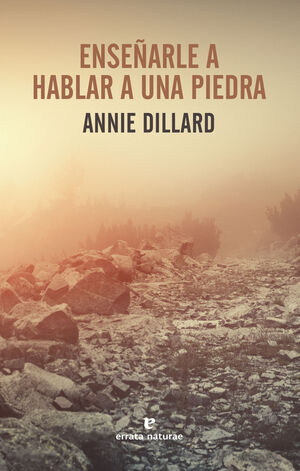 ENSE¥ARLE A HABLAR A UNA PIEDRA