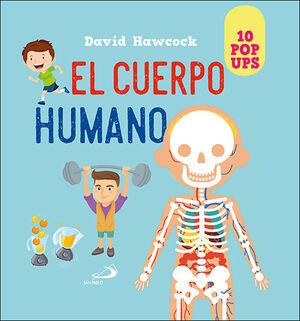 CUERPO HUMANO (10 POP UPS)