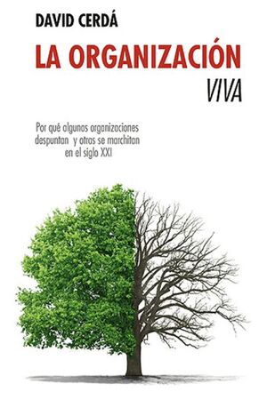 ORGANIZACION VIVA