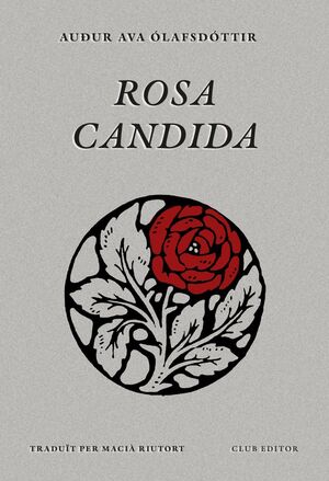 ROSA CANDIDA